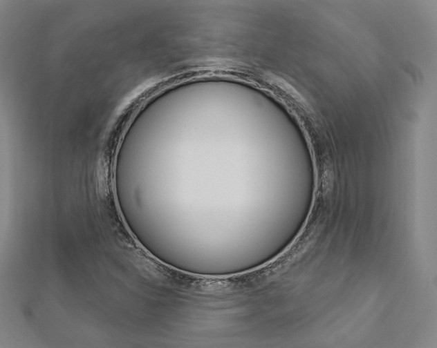 X0000112911310200908240958