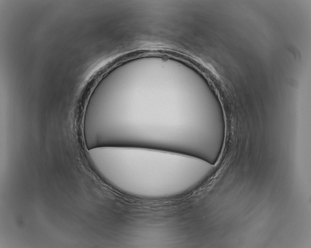X0000112911311200908240958