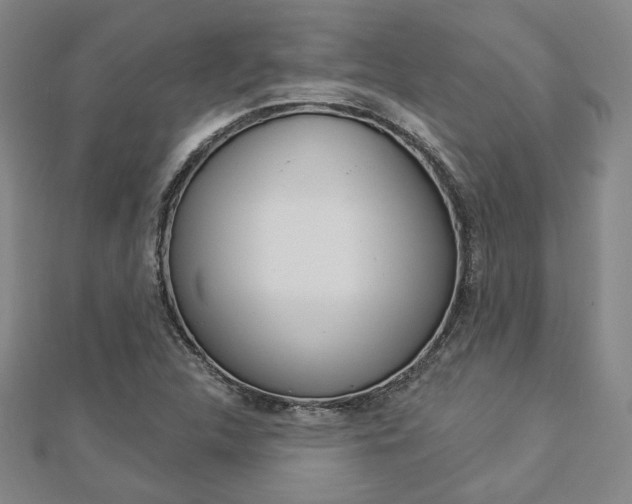 X0000112911312200908240959