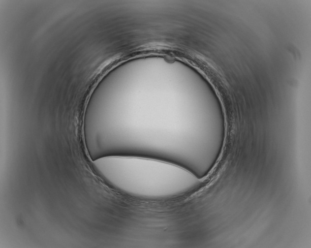 X0000112911313200908240959