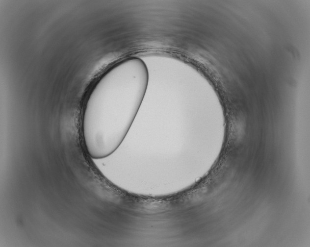 X0000112911314200908240959