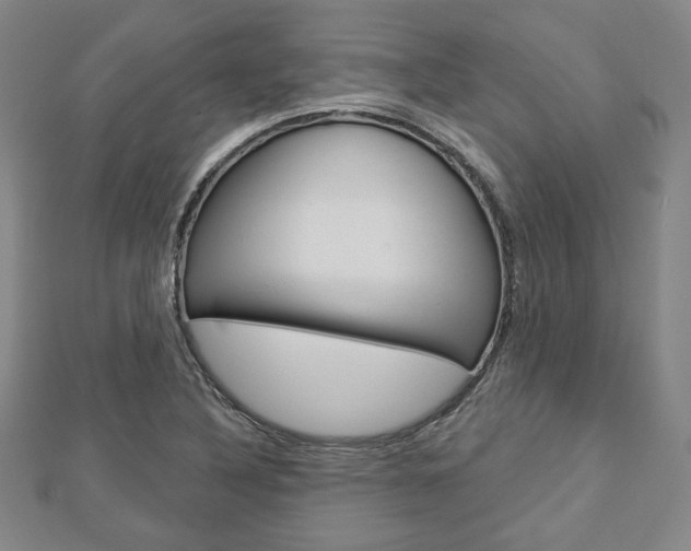 X0000112911316200908240959