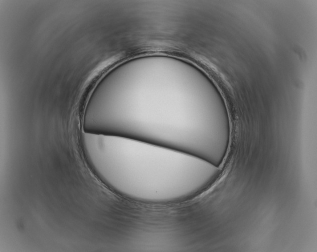 X0000112911317200908240959