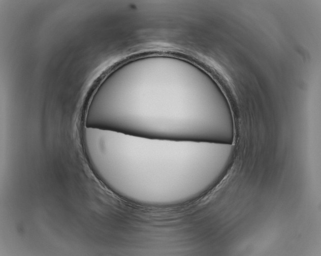 X0000112911318200908240959