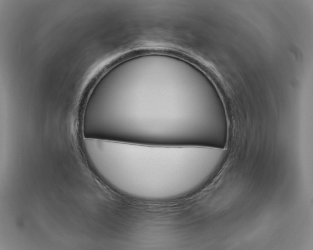 X0000112911319200908240959