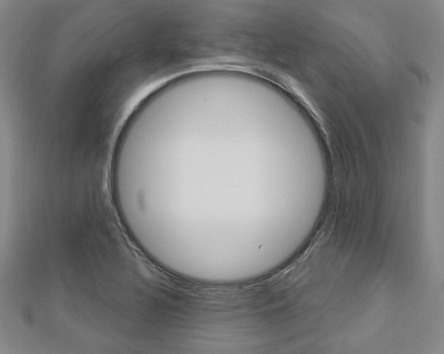 X0000112911320200908240959