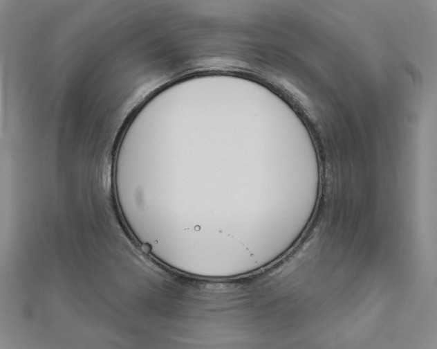 X0000112911322200908240959