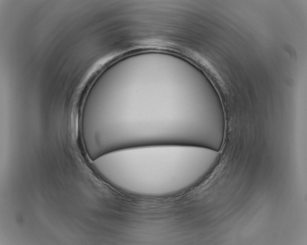 X0000112911323200908240959