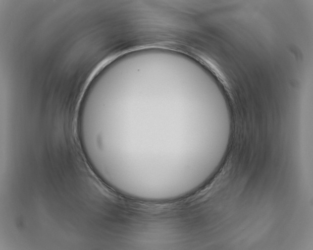 X0000112911324200908240959