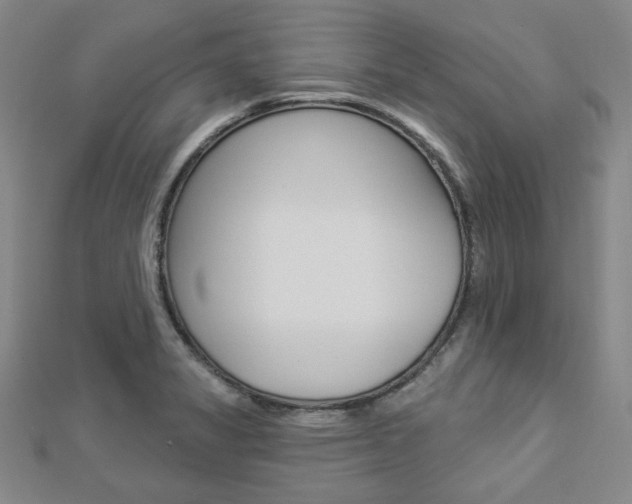 X0000112911325200908240959