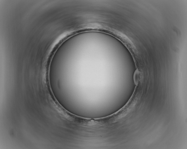 X0000112911326200908240959