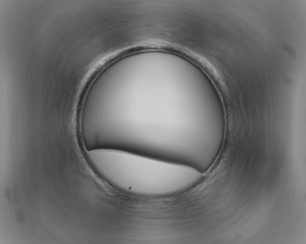 X0000112911327200908240959