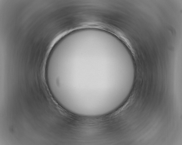 X0000112911328200908240959