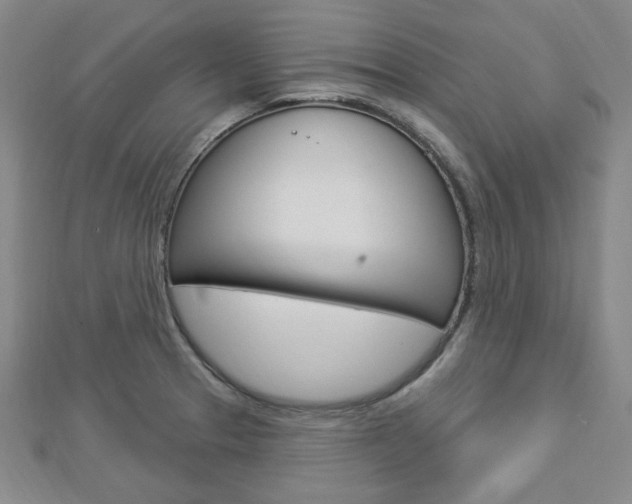 X0000112911329200908240959