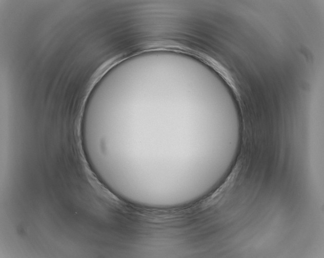 X0000112911330200908240959