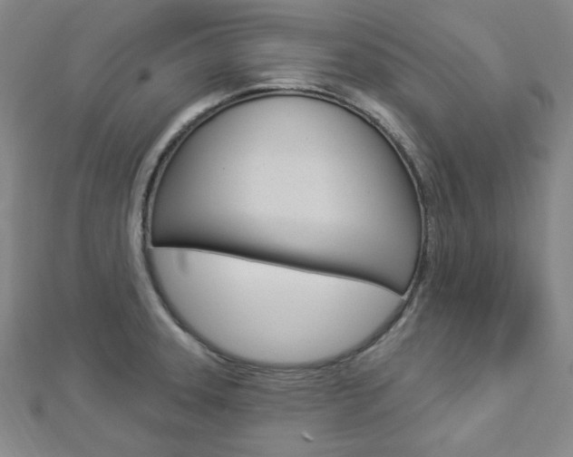 X0000112911331200908240959