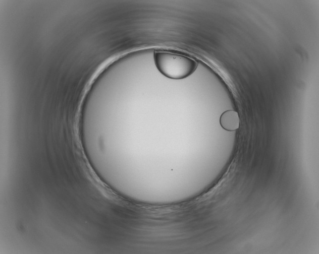 X0000112911332200908240959