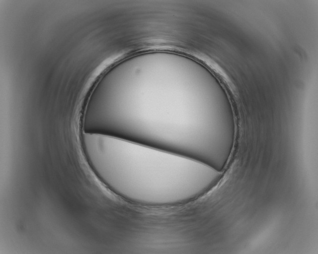 X0000112911333200908240959