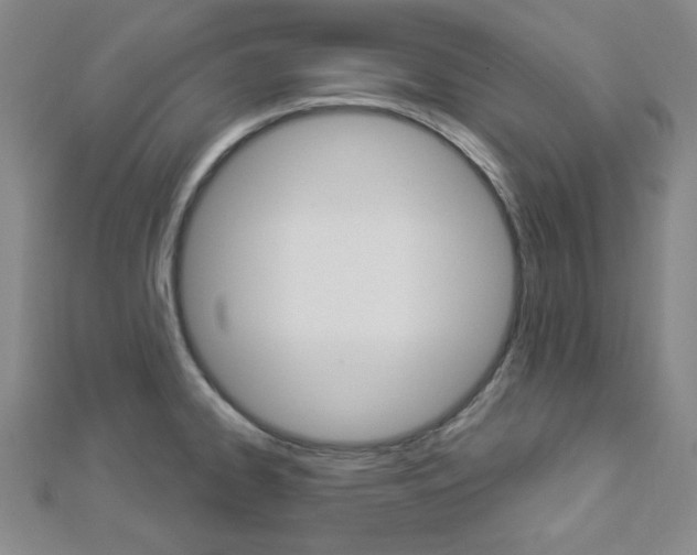 X0000112911334200908240959