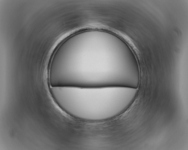 X0000112911335200908240959