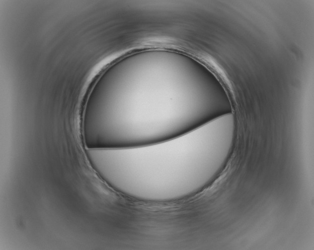 X0000112911336200908240959