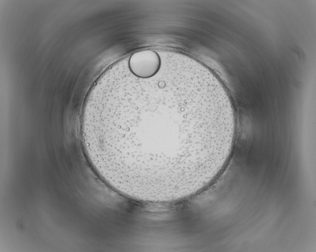 X0000112911338200908240959