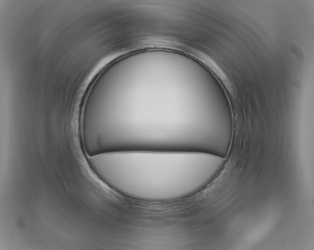 X0000112911339200908240959