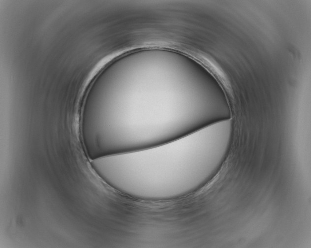 X0000112911340200908240959