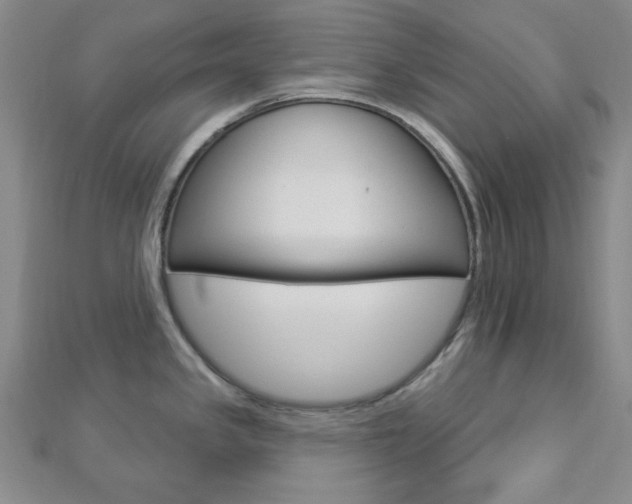 X0000112911341200908240959