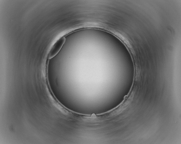 X0000112911342200908240959
