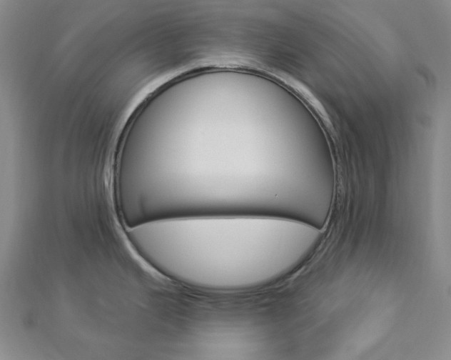X0000112911343200908240959