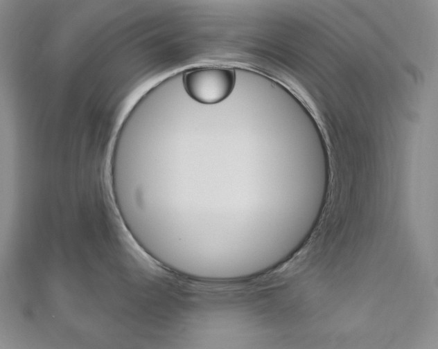X0000112911344200908240959