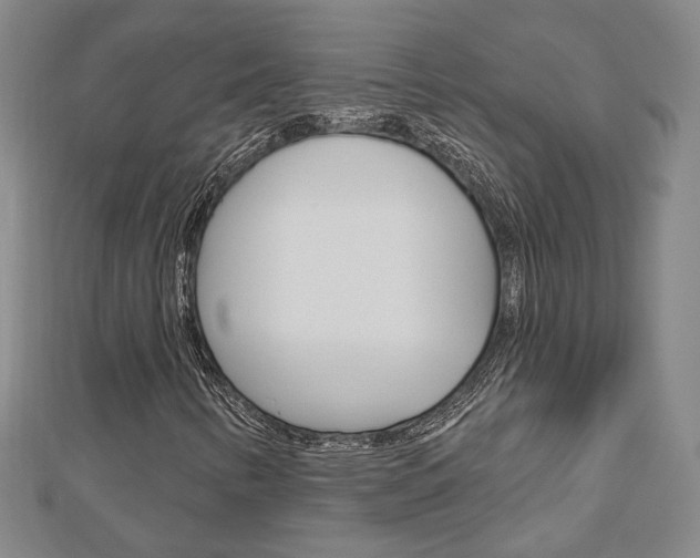 X0000112911346200908240958