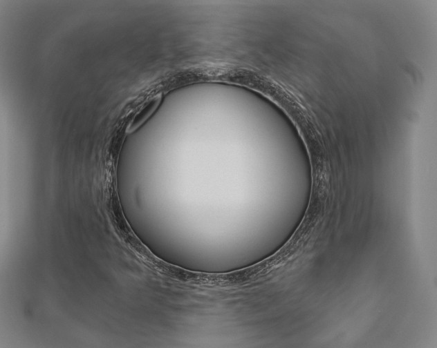 X0000112911349200908240958