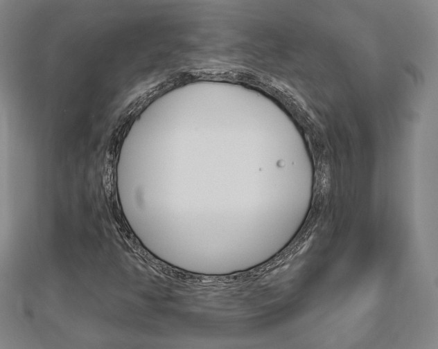 X0000112911350200908240958
