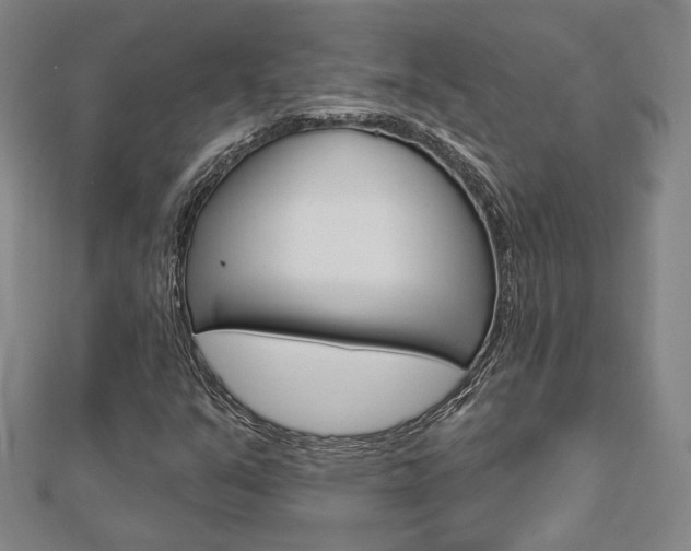 X0000112911351200908240958