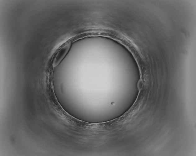 X0000112911352200908240958
