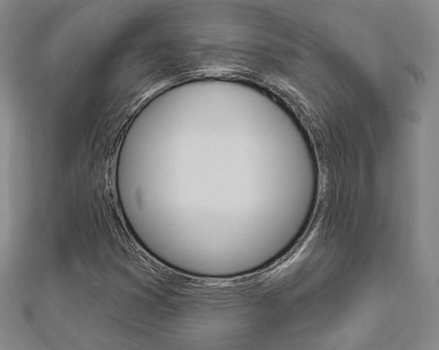 X0000112911353200908240958