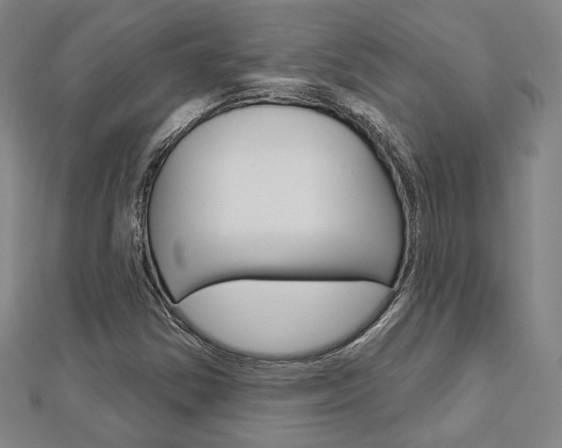 X0000112911354200908240958
