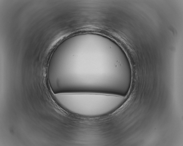 X0000112911355200908240958