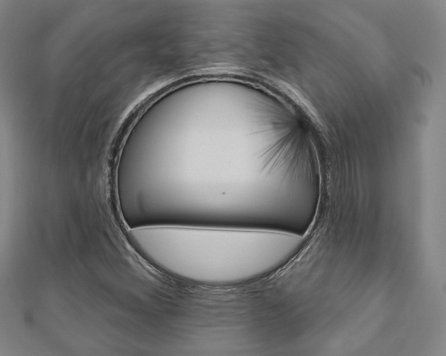 X0000112911356200908240958