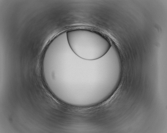 X0000112911357200908240958