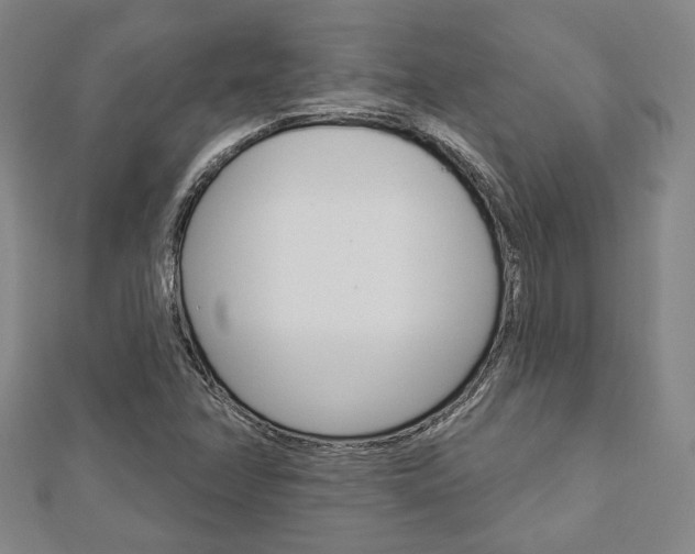 X0000112911358200908240958