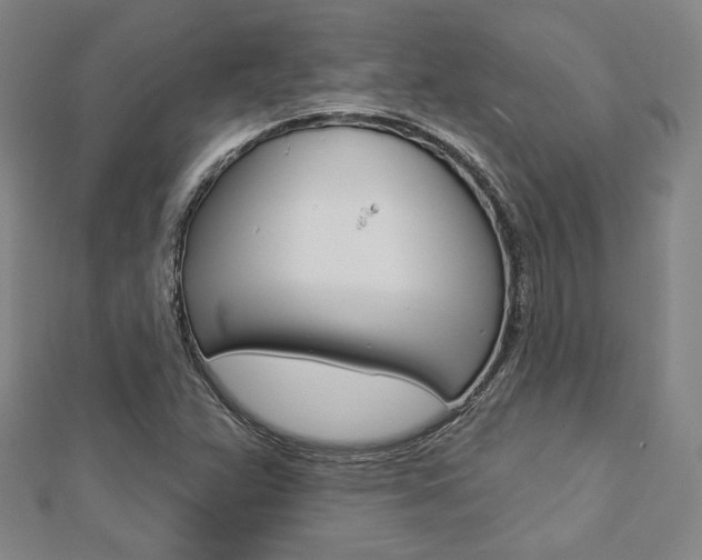 X0000112911359200908240958