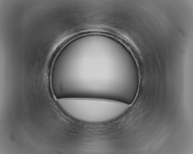 X0000112911360200908240958
