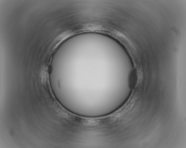 X0000112911361200908240958