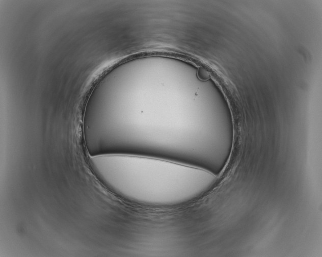 X0000112911363200908240958