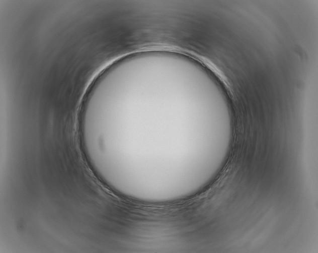 X0000112911364200908240958
