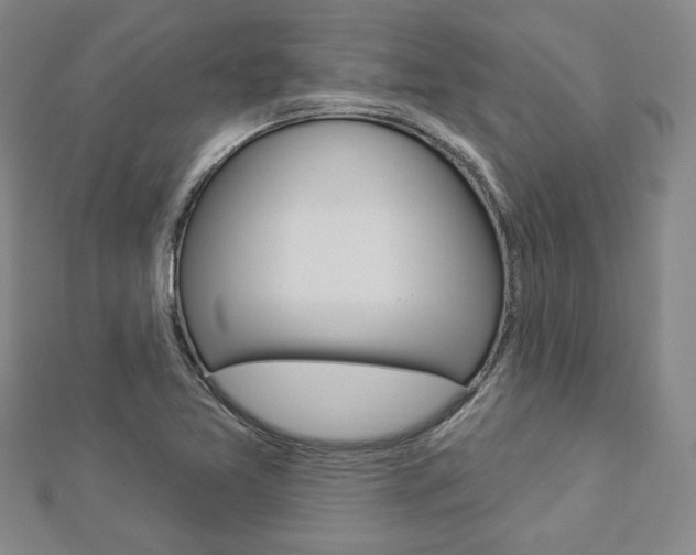 X0000112911365200908240958