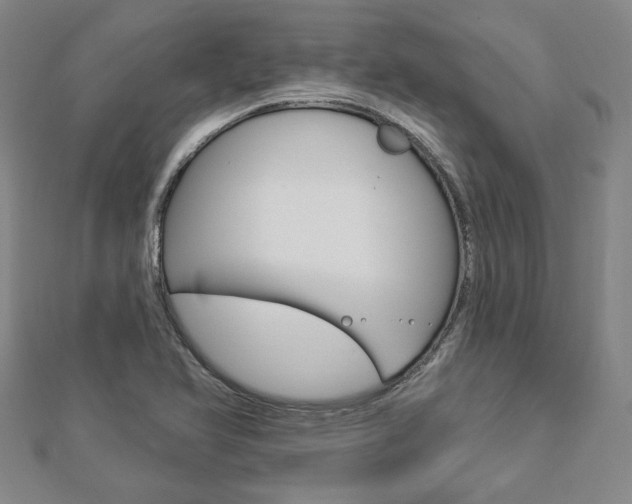 X0000112911366200908240958